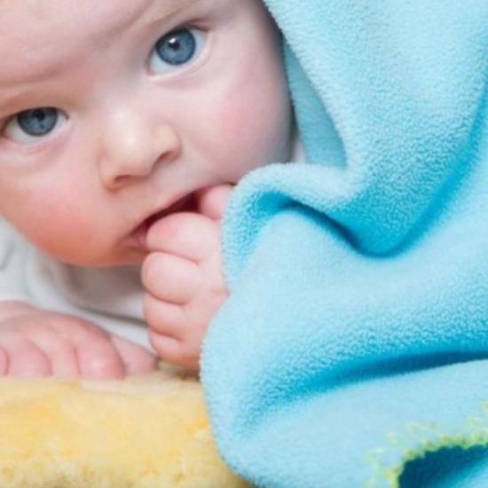 Babyfell, Baby Lammfell kaufen