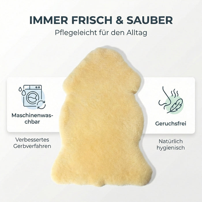 Lammfell LANABEST Premium | Oeko-Tex | Komfort Merino naturweiß | Vergleichssieger